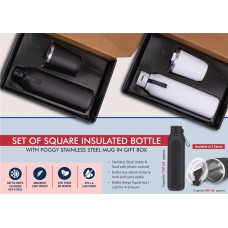 Set Of Square Insulated Bottle With Foggy SS Mug